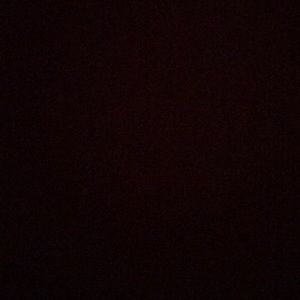 Meet your Posher, Rocky